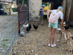 image1290